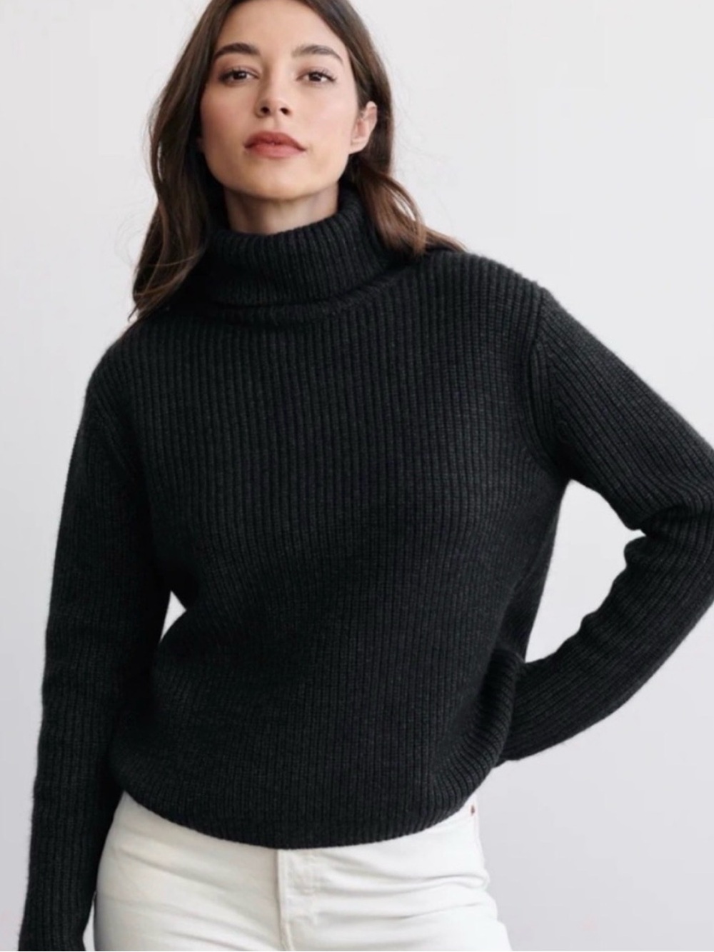 Jenni Kayne Wool Cashmere Cropped Turtleneck Sweater Gray Luxury Designer M